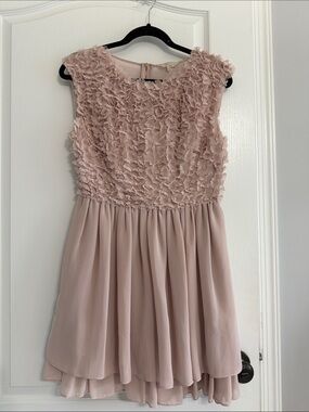 Ted Baker London Blush Pink Textured Bodice Chiffon Dress